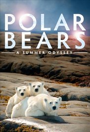 Polar Bears: A Summer Odyssey (2012) M4ufree