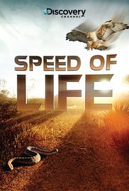 Speed of Life (2010) M4ufree