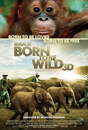 Born to Be Wild (2011) M4ufree