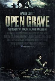 Open Grave (2013)