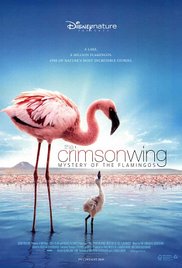 The Crimson Wing: Mystery of the Flamingos (2008 M4ufree